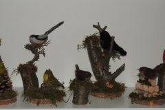 vogels
